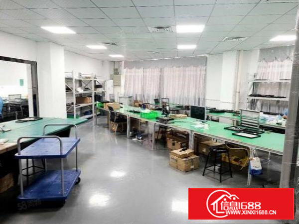 塘厦科苑城原房东出租标准楼上1100平精装修好招工