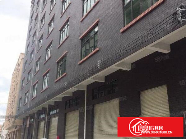 白沙原房东全新工业厂房1050平层双电梯