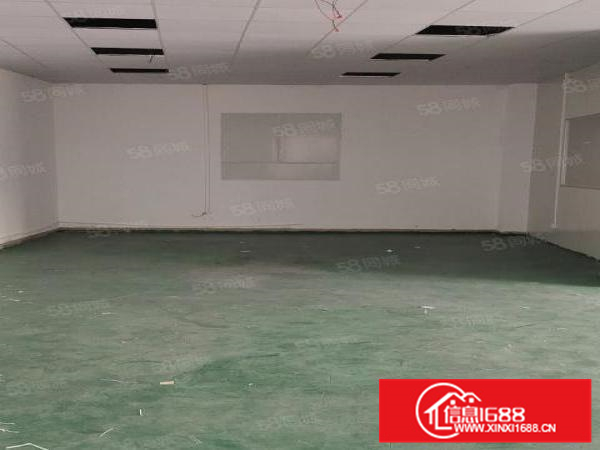 独门独院2000方10吨行吊免费用（电费对公）