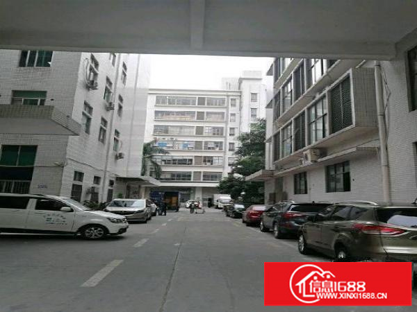 沙湾关口600厂房仓库招租