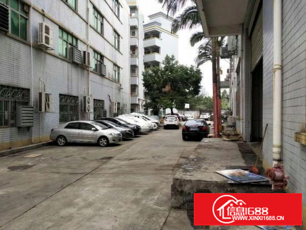 富民工业区一楼厂房出租1000平方