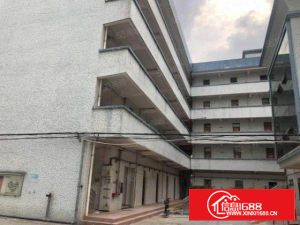 独院标准厂房5655平可整租可分租有电梯带地坪漆