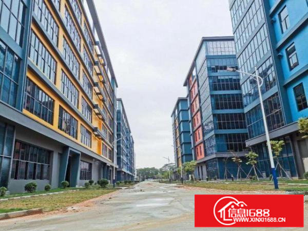 大岭山国有红本全新园区标准100000平米可分栋出租