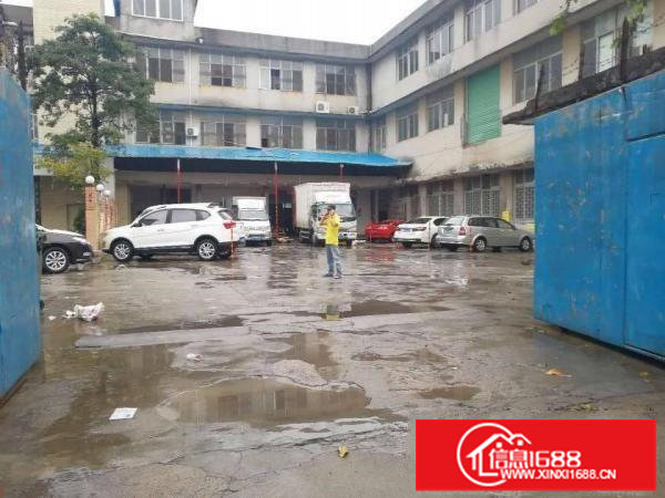 龙华新区一楼实际面积800平米