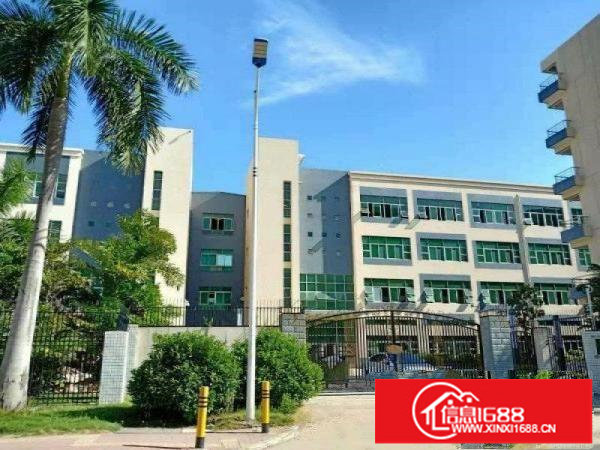 坂田环城北路边大型科技园1万平方红本厂房出租部分精装修