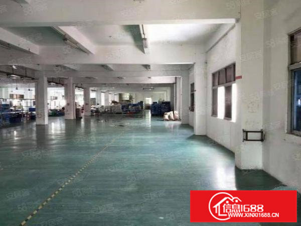 大宁原房东全新工业大厦招租，800平方以上起租