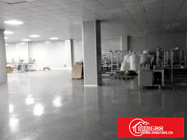 沙头沿江高速附近新出楼上洁净车间1800平