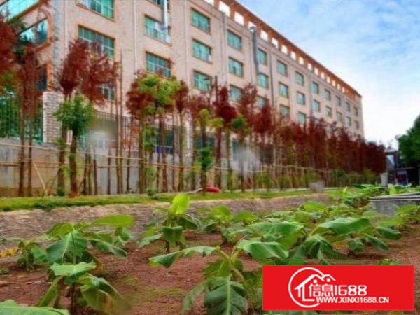 坪山区大型工业园原房东一楼红本厂房3000平方招租(无公摊)