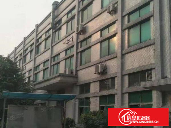 企石镇新出原房东超靓标准厂房实量面积5500平，超大空地