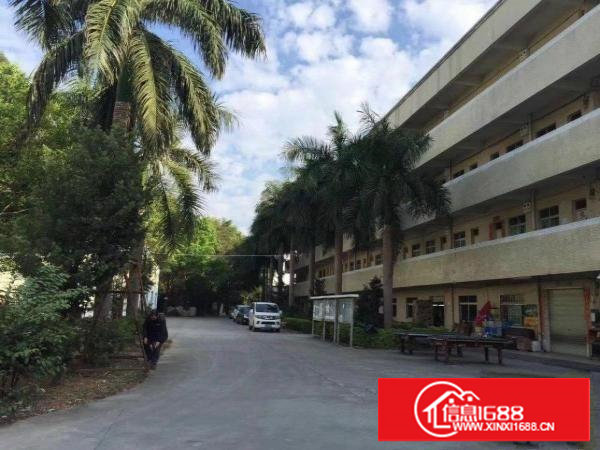 出租谢岗燕东工业区鼎嘉工业园厂房