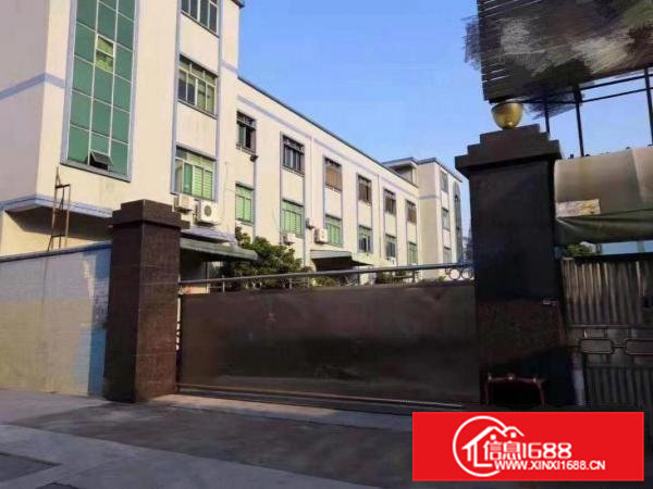 东莞一线大路边标准厂房一楼2000方出租