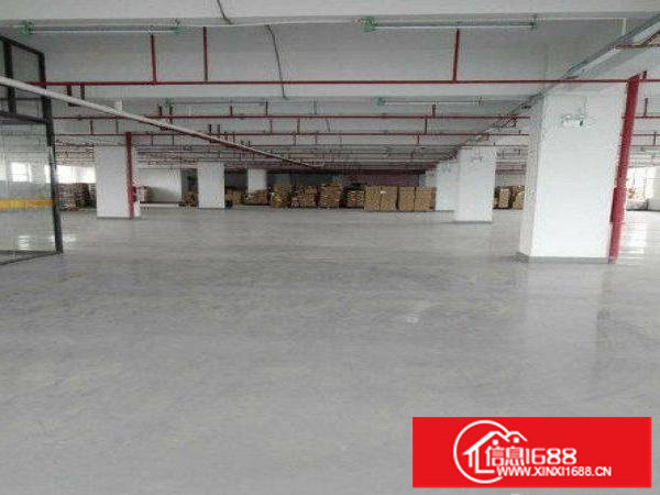 布吉大芬新出700平带装修厂房出租