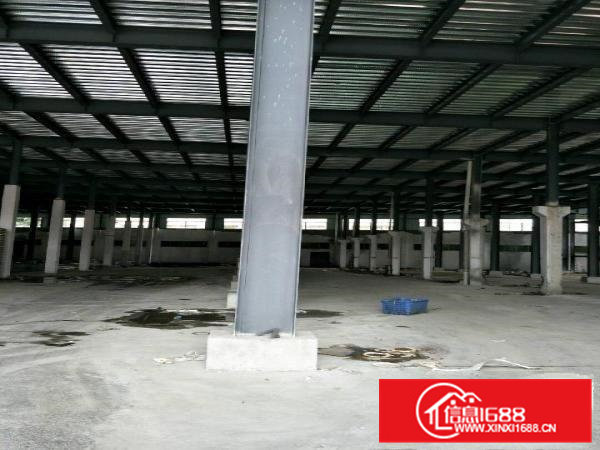 横沥隔坑附近厂房20000平米