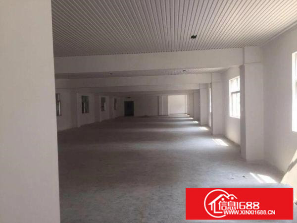 坪山大道旁沙田工业区原房东一楼450平厂房出租