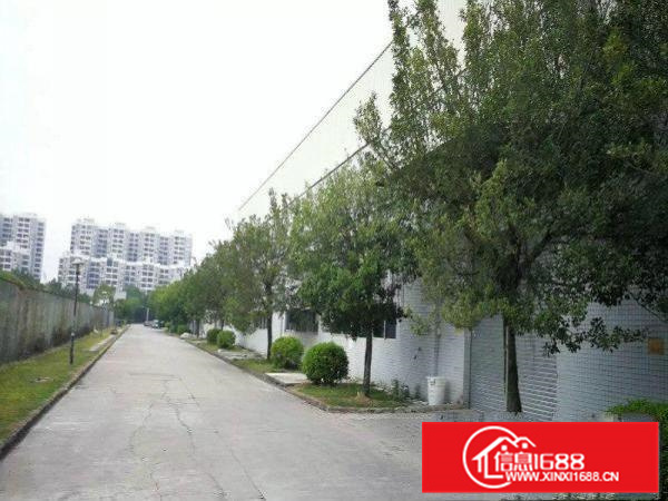 大亚湾原房东单一层钢架带红本分栋、整体招租