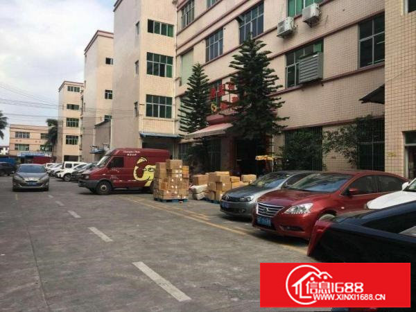 平湖街道山厦独院楼上1500平带装修厂房可分租