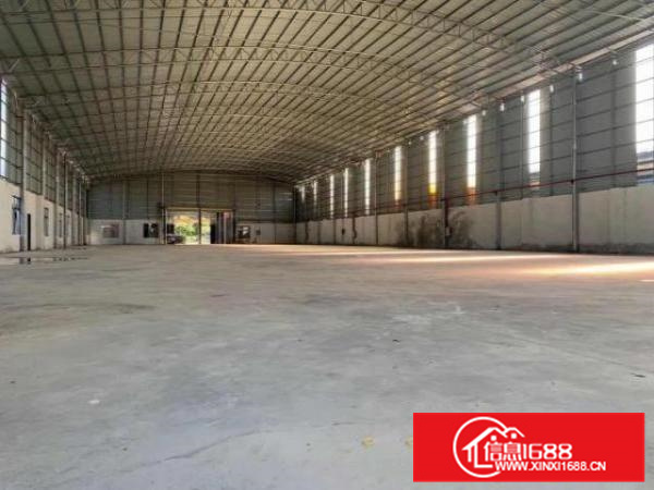 金沙全新单层钢结构3500平低价招租