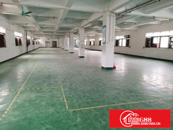 石排赤坎标准三楼650平方低价招租，水电齐全，有办公室装修