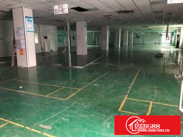 松岗高速口独门独院4500平厂房出租