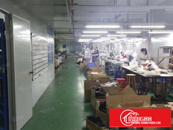 万江新出原房东独门独院楼房厂房出租