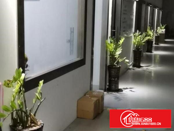 自己租的，部分办公室和车间出租。我们做灯具和广告灯条。