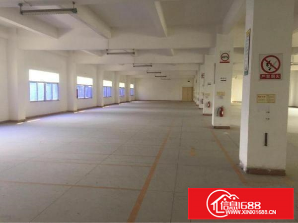 惠州秋长新出可做污染行业独门独院11500平方