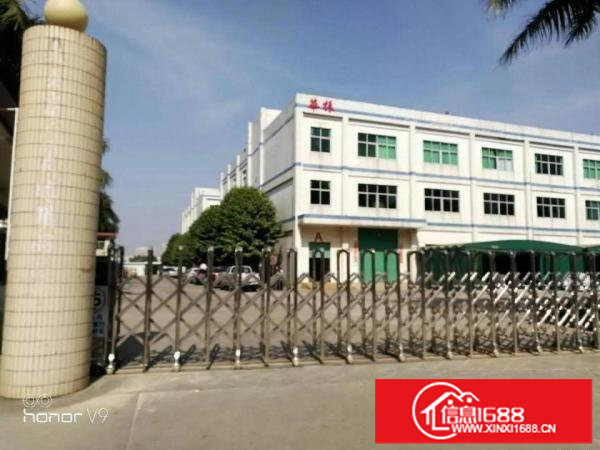 坪山碧岭金碧路500平方送装修厂房14元招租