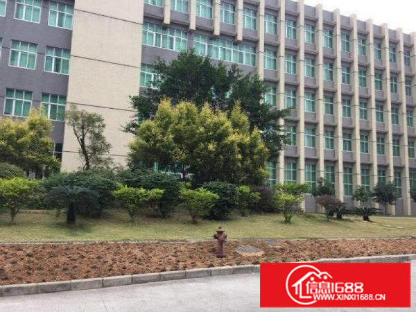 公明新出红本厂房楼上1600/3200平带装修