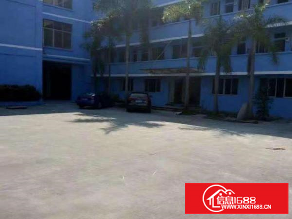 万江简沙洲新出独院标准厂房1-3层8000平方出租