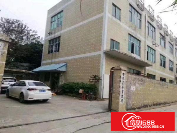 观澜兴万达对面1-3楼独院厂房1500平方精装修