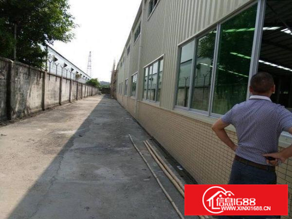 独院钢构出租5000平方东莞周边,5000