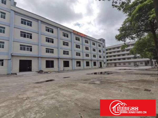 高埗镇全新独门独院,超大空地,可整租也可分