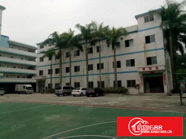 樟木头新出带装修楼上800平米可整租可分租