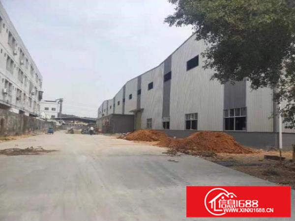 桥头镇原房东新建10米高钢构独院出租