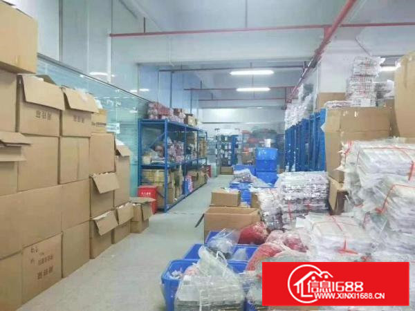 出租石排镇石排城区自己的房子价格便宜