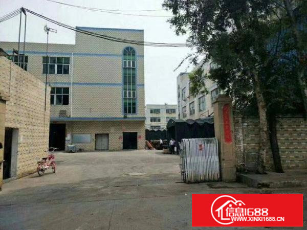 观兰楼上一整层1150平带装修