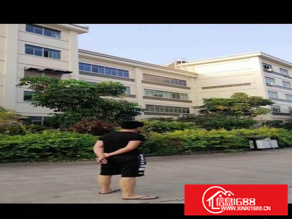 水口65000平米花园式厂房招租、可办环评