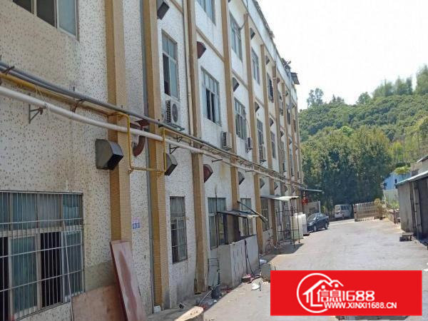 新空出来独院一楼1800平米带大空地1100平米业主直接出租