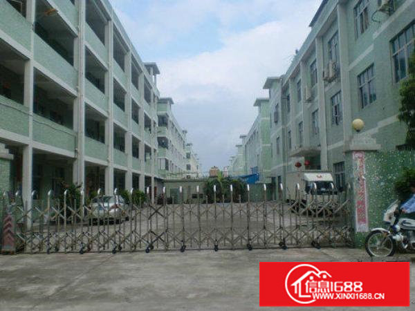 秋长1000-1500平米9元出租标准房火热进行