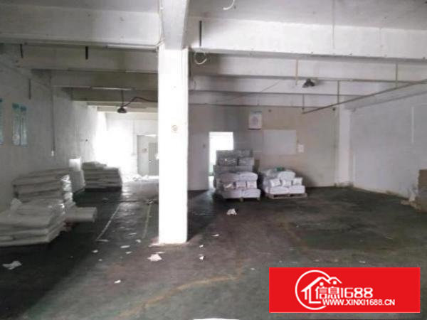 沙井共和一楼300平和600平米带装修厂房出租