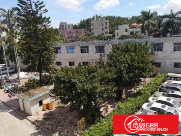 新出观澜一手厂房牛湖总站旁