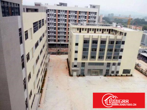 全新十万平方米红本高新产业园厂房招租