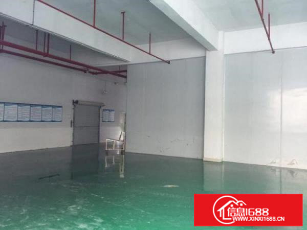 东莞市常平镇朗州大道标准厂房三层3520平米出租