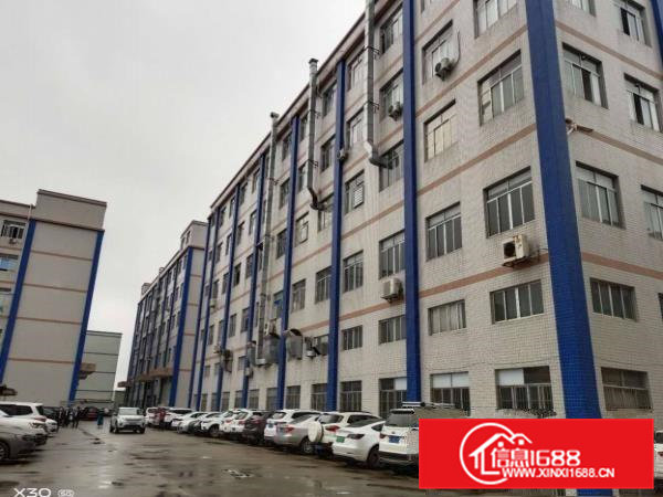 大岭山厚大路边工业园新出楼上精装修1700平厂房出租可办环评