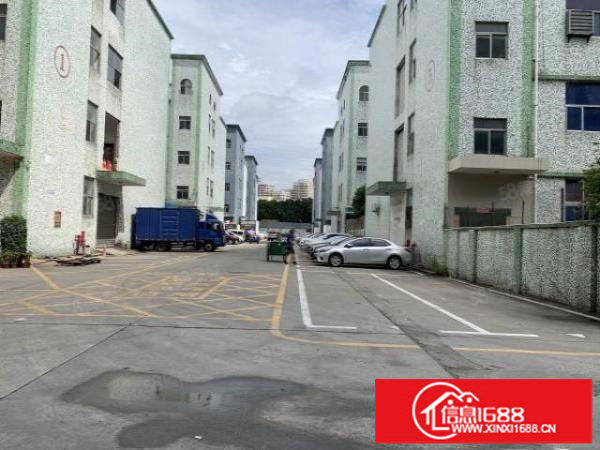 龙华大浪商业中心旁独栋原房东厂房5600平无公摊