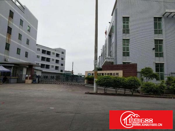 超大空地！现房！坂田雪象红本带喷淋独院厂房12万平招租