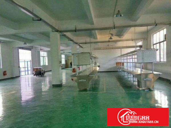 坂田吉华路新房源！空出3楼整层550平方厂房