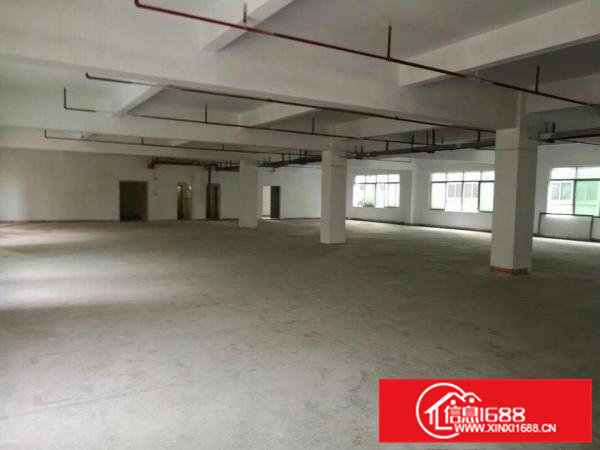 高埗500-5000平方厂房招租有电梯！易招工，适合做任何行