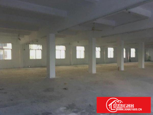 东坑塔岗新出二楼1000平厂房