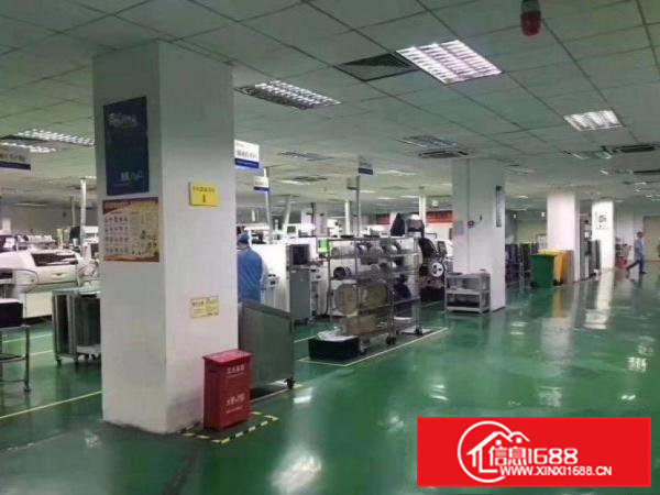 南栅新出楼上900平精装修厂房招租原房东，可办环评